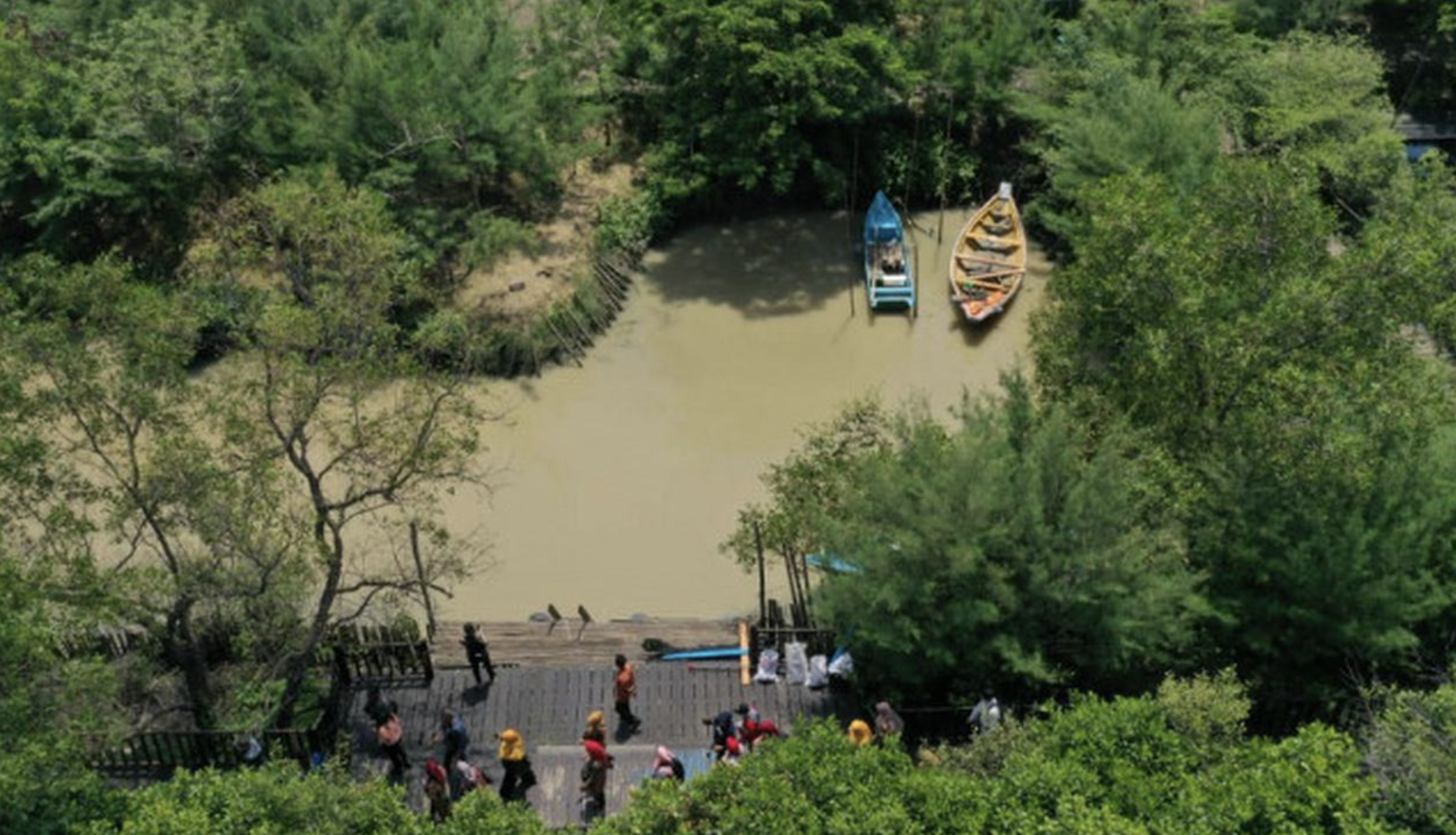 Mangrove Pesisir Surabaya Terlilit 200 Kg Sampah Plastik