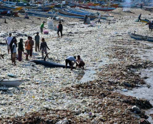waste producing
